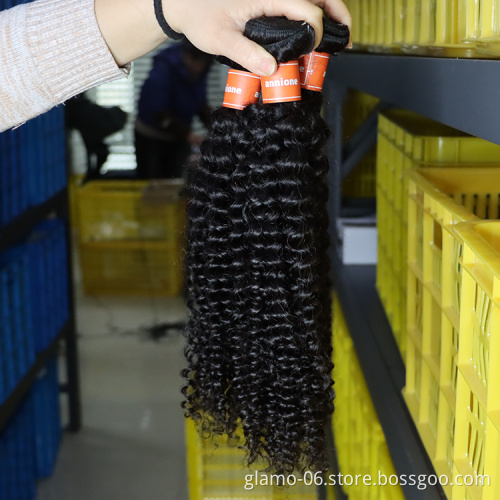 Free shipping brazilian curly hair from brazil,guangzhou brazilian hair factory,free sample cuticle aligned hair vendors